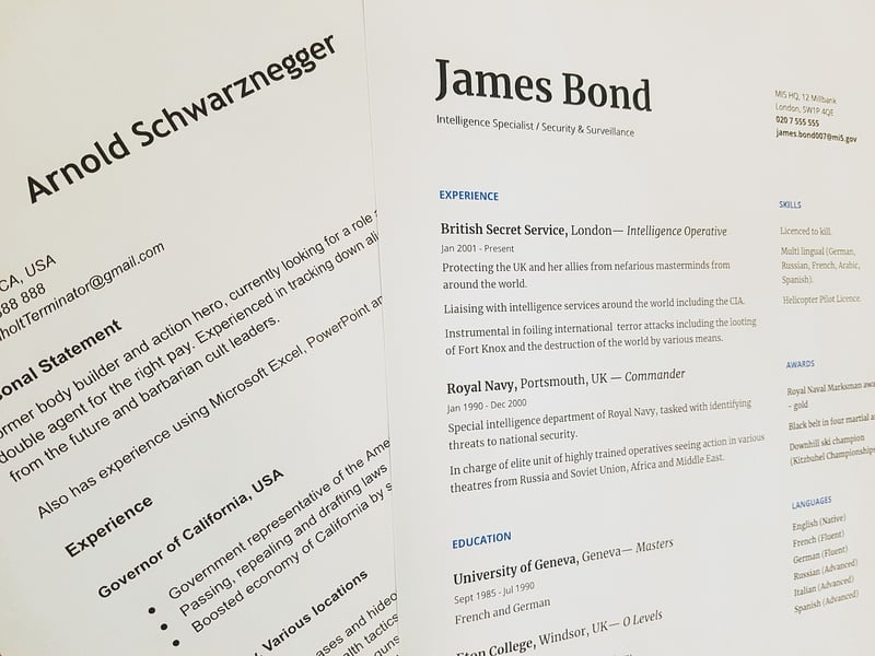 Job Experience
